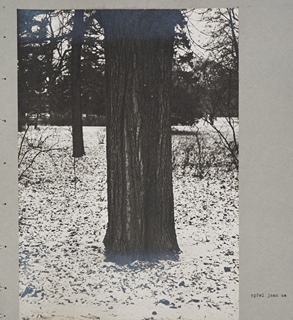 Marian Palla (1953) - MOŽNOSTI