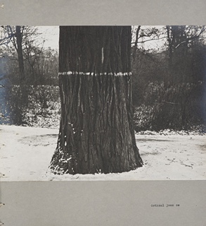 Marian Palla (1953) - MOŽNOSTI