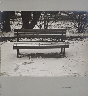 Marian Palla (1953) - MOŽNOSTI