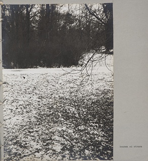 Marian Palla (1953) - MOŽNOSTI