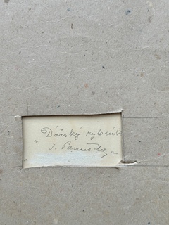 Jaroslav Panuška (1872 - 1958) - Žďárský rybník