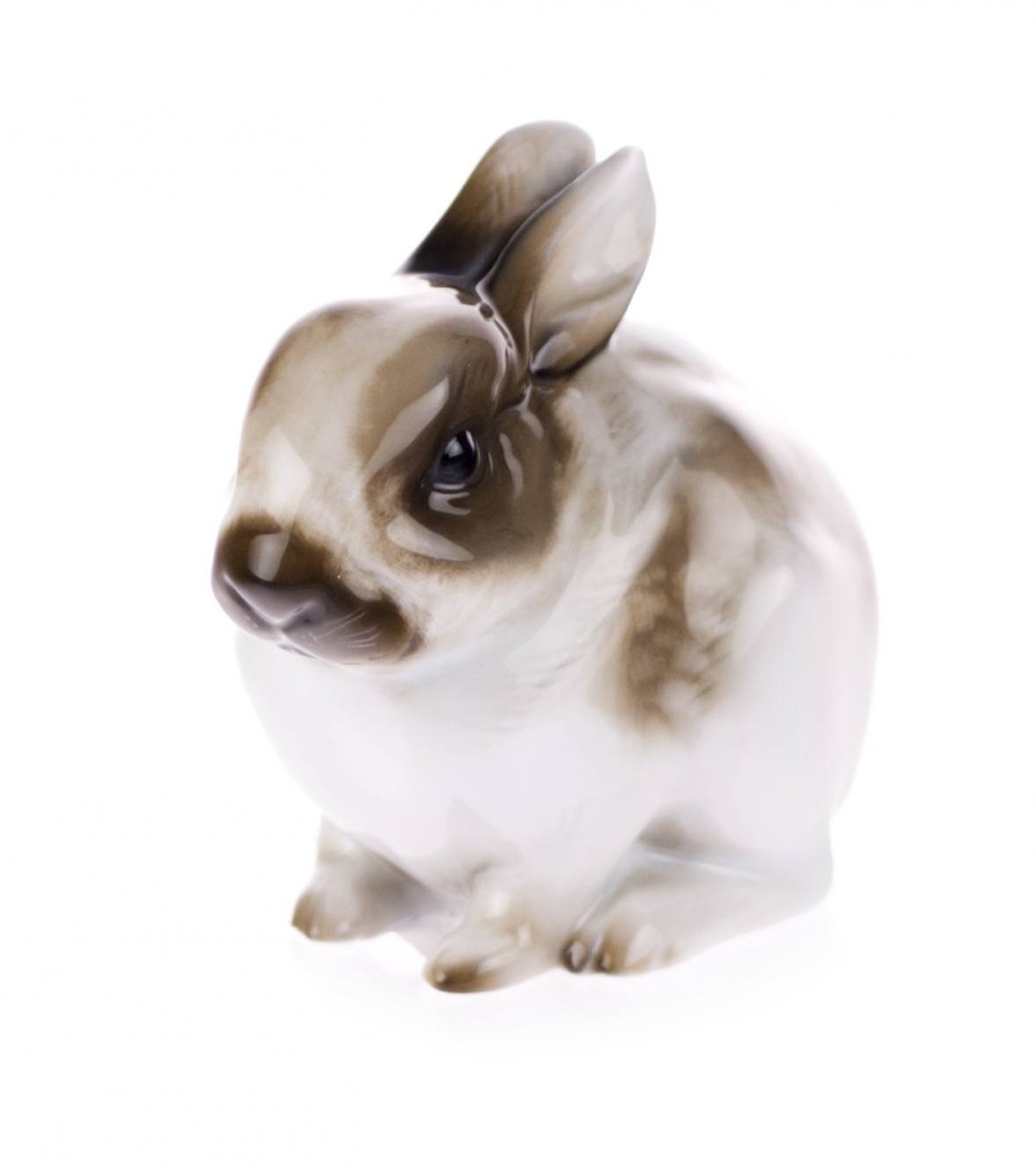 RABBIT