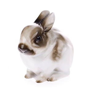 RABBIT