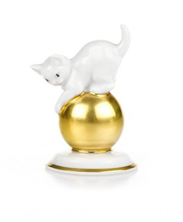 KITTEN ON A BALL