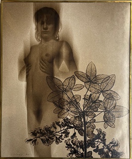 Miloslav Stibor (1927 - 2011) - Thalló VIII.