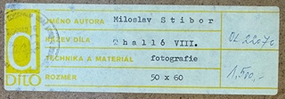 Miloslav Stibor (1927 - 2011) - Thalló VIII.