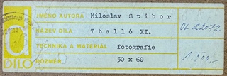 Miloslav Stibor (1927 - 2011) - Thalló XI.