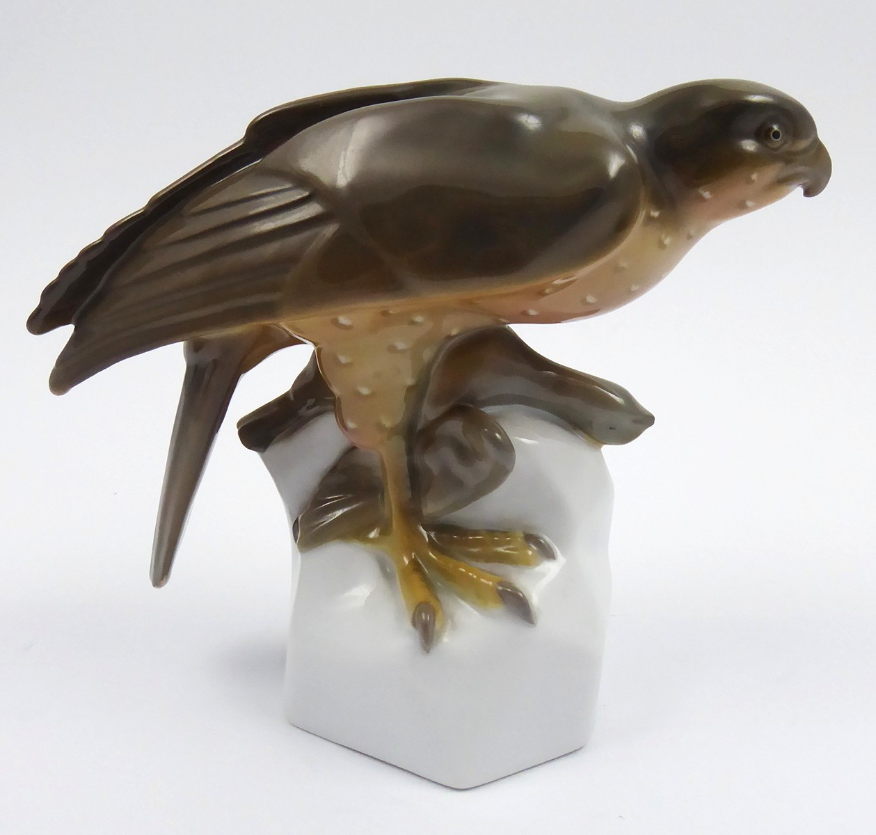 JESTŘÁB NA SKÁLE - PFEIFFER & LÖWENSTEIN, OSTROV U KV