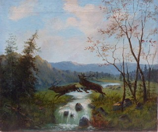 KRAJINA S JELENEM VE SKOKU