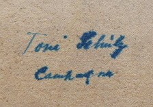 TONI ANTONIE SCHULZ (1858-1918) - TRE MADONNE, CAMPAGNA