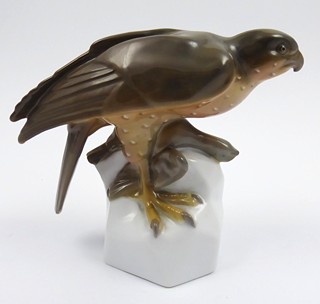 JESTŘÁB NA SKÁLE - PFEIFFER & LÖWENSTEIN, OSTROV U KV