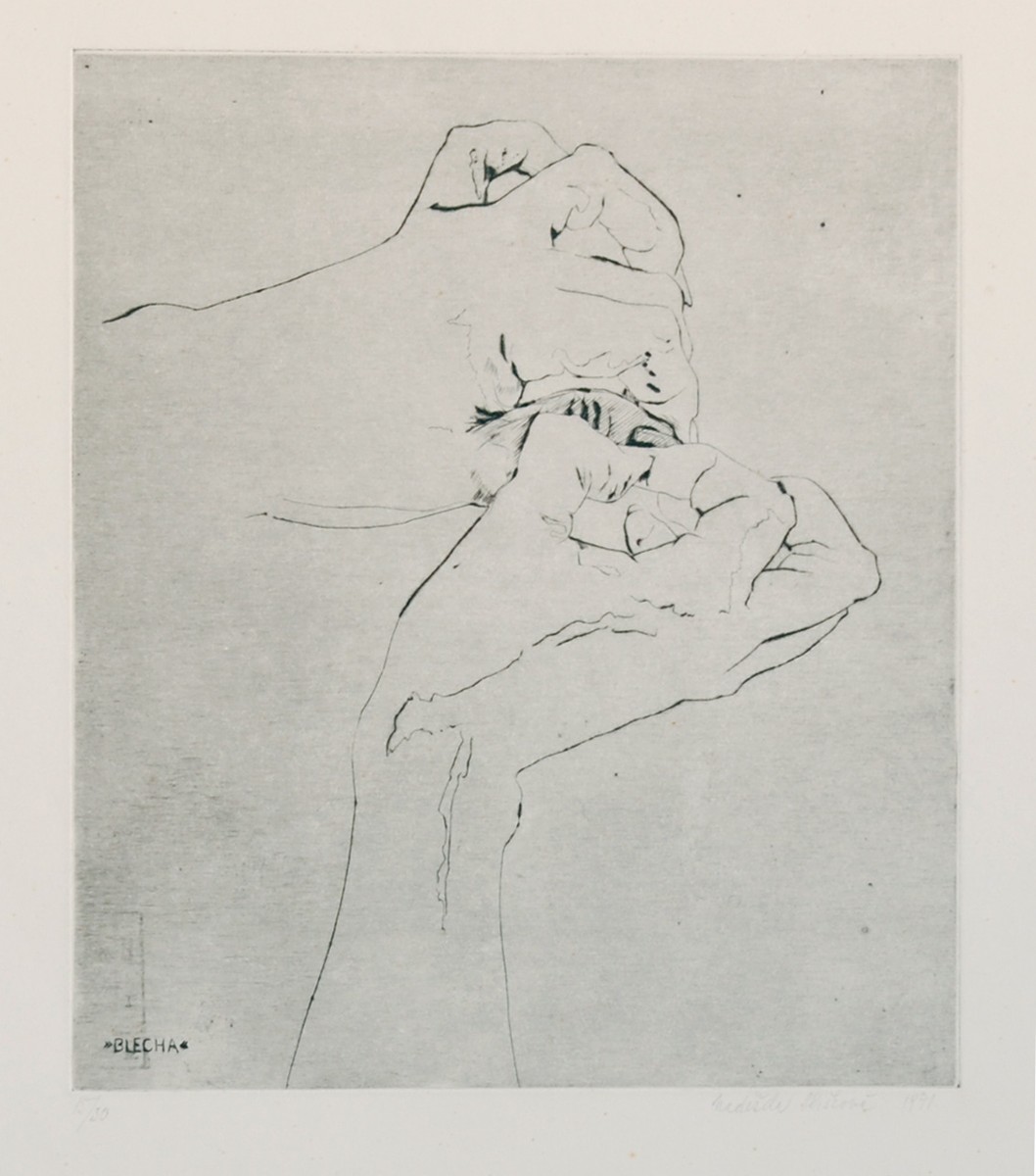 Naděžda Plíšková (1934-1999) - Blecha