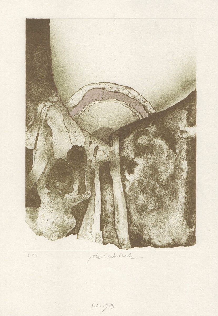 Vladimír Suchánek (1933-2021) - PF 1973