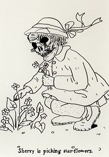 Jan Vytiska - Sherry is picking star-flowers