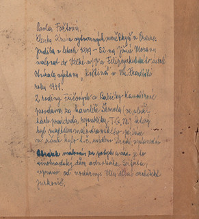 Pavla Fořtová Šámalová (1886 - 1974) - Vinohradský dům