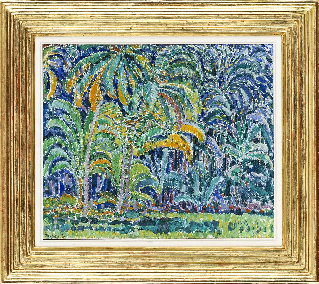 Ceylon rainforest