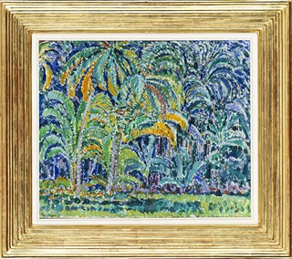 Ceylon rainforest