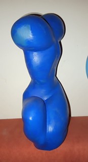 Torso
