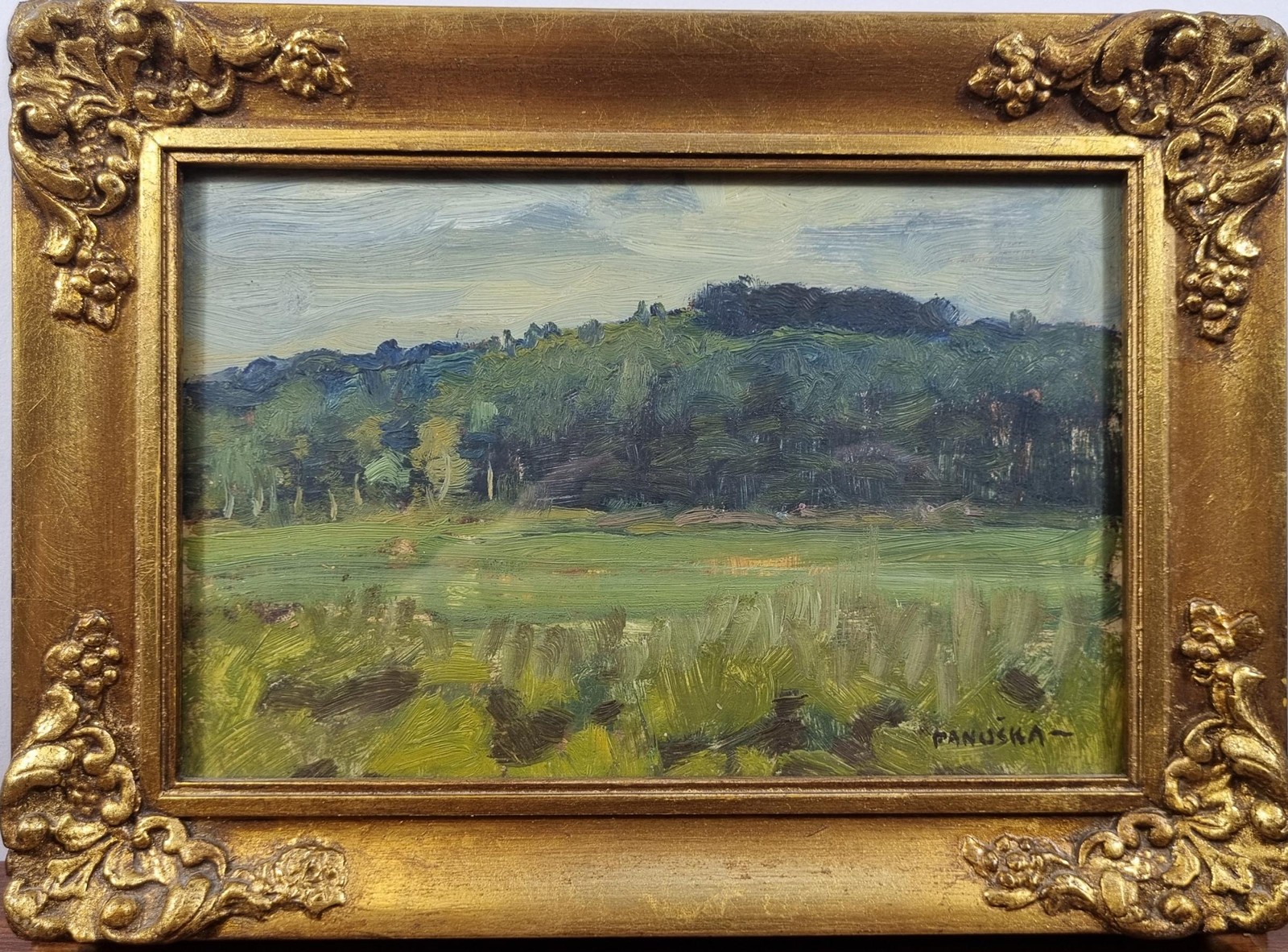 Panuška Jaroslav - Louka u lesa