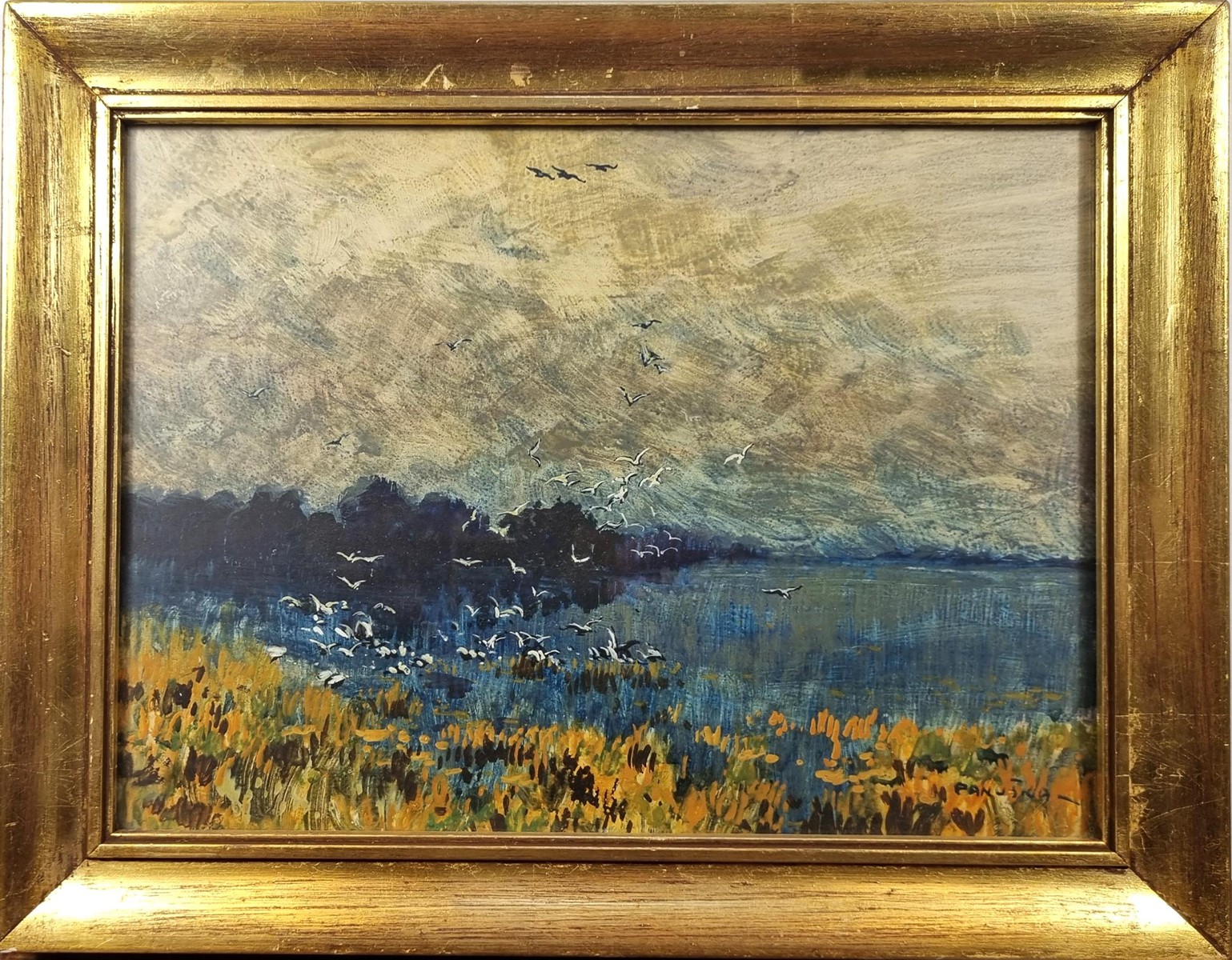 Panuška Jaroslav - Ptáci nad hladinou