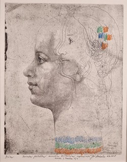 Anderle Jiří - Múza