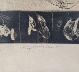 Anderle Jiří - Platon: obrana Sokratova