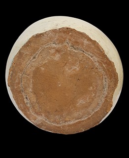 Keramika - váza s ještěrkami