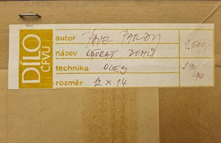 Pardy Pavel - Návrat domů