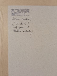 Kulhánek Oldřich - Johann Sebastian Bach