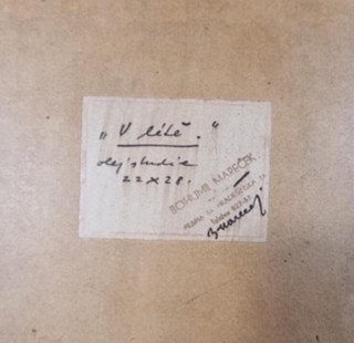 Mareček Bohumil - V létě