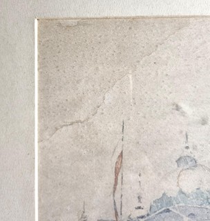 Tavík František Šimon - Kluziště pod Karlovým mostem