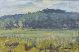 Panuška Jaroslav - Louka u lesa