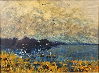 Panuška Jaroslav - Ptáci nad hladinou