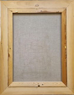 Husárikova Jindra - Zimní zahrady