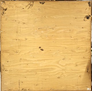 Svoboda Vladimír - Chobotnatka sličná