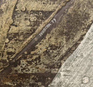 Svoboda Vladimír - Chobotnatka sličná