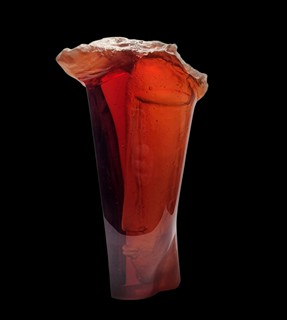 Brychtová J. + Libenský S. - Hlava - ambrová