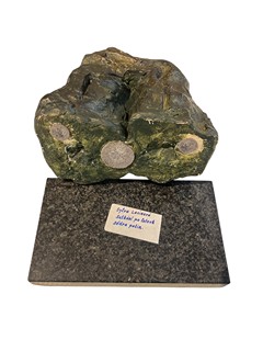 Lacinová Sylva - Setkání po letech- Sádra