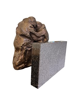 Lacinová Sylva - Setkání po letech- Bronz