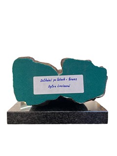 Lacinová Sylva - Setkání po letech- Bronz