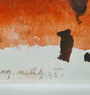 Netík Miroslav - Horečný stav