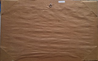 Jiroudek František - Květy hojnosti