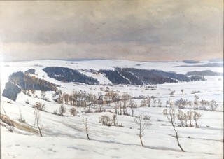 Jambor Josef - Zimní Vysočina