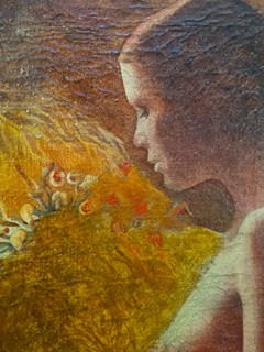 František Malý - Sluneční květy lásky