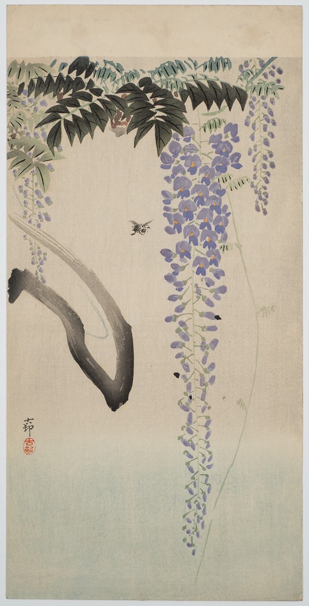 Wisteria and Bee