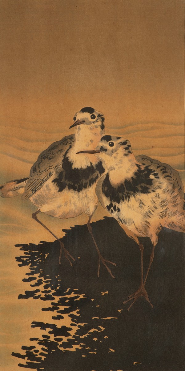 Plovers on the Shore