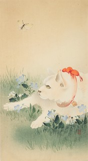 Cat and Butterfly