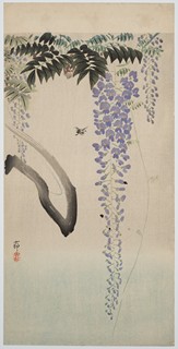Wisteria and Bee