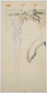 Wisteria and Bee