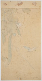 Hummingbird and Peas